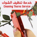 Rose Thorn Stripper Tool