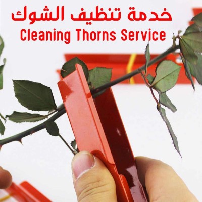 Rose Thorn Stripper Tool