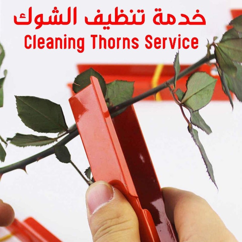 Rose Thorn Stripper Tool