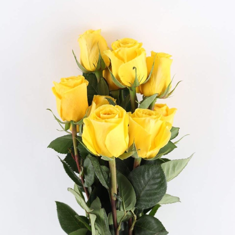 Yellow Rose Bunch