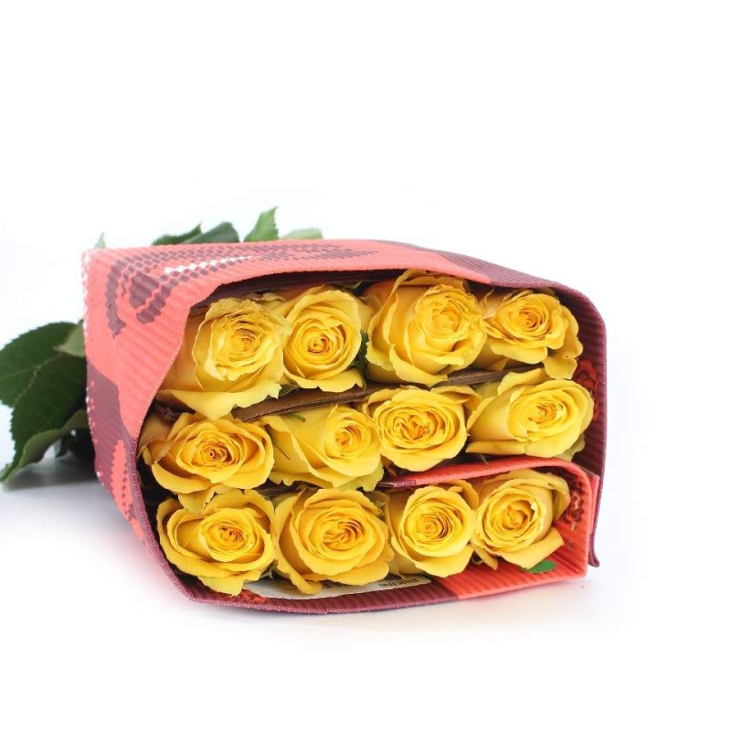Yellow Roses in Gift Sleeve