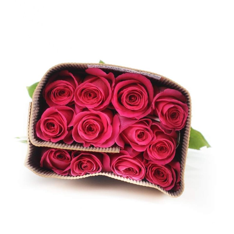 Hot Pink Roses in Gift Sleeve