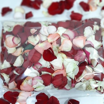 Mixed Red &amp; Pink Rose Petals
