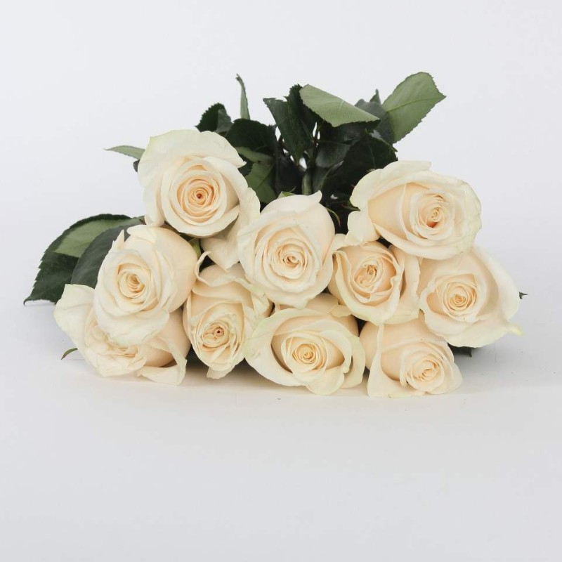 Cream Rose Bunch