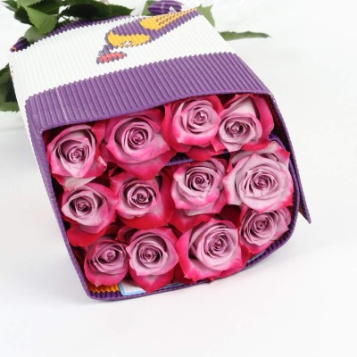Purple Edge Roses in Gift Sleeve