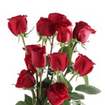Classic Red Rose Bunch