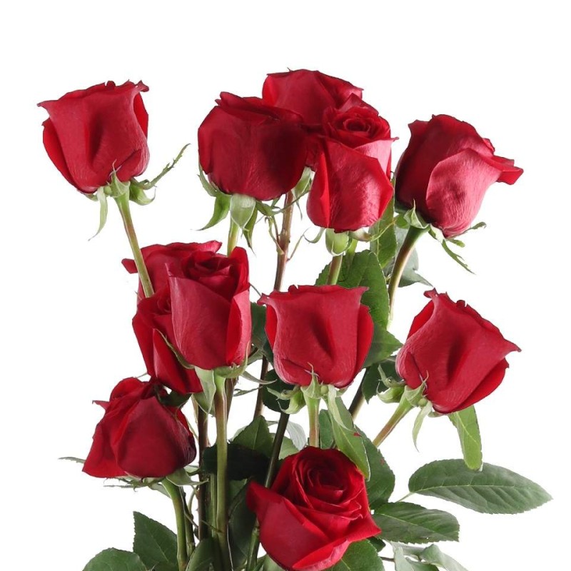 Classic Red Rose Bunch