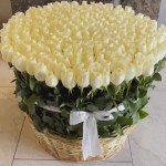 101 Pure White Roses Basket