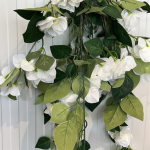 White Bougainvillea Hanging Bush