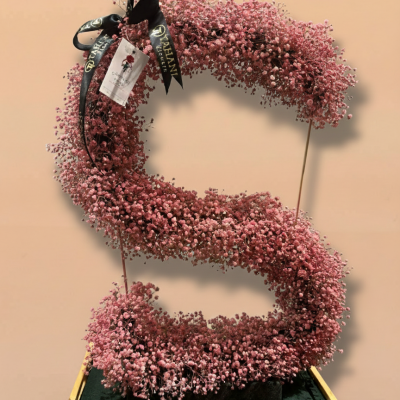 Pink Baby’s Breath Letter S