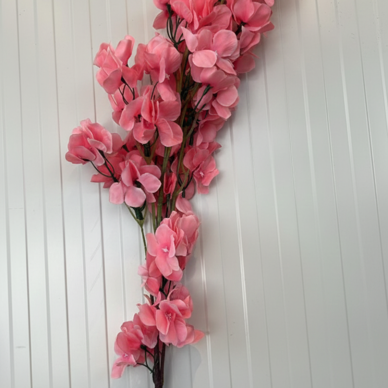 Pink Bougainvillea Hanging Bush