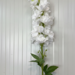White Delphinium Stem