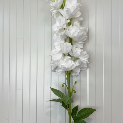 White Delphinium Stem