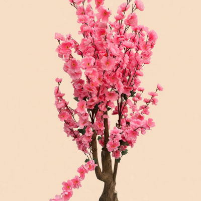 Pink Cherry Blossom Tree
