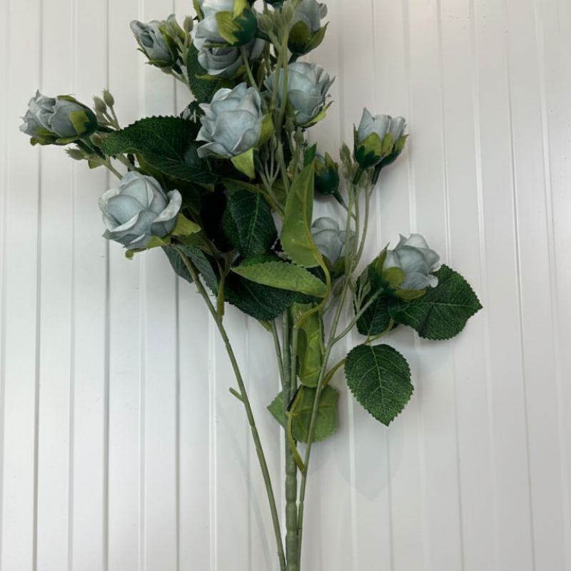 Dusty Blue Mini Rose Bush