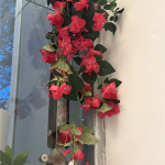 Cascading Pink Bougainvillea Vine