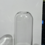 Clear Capsule Glass Vase